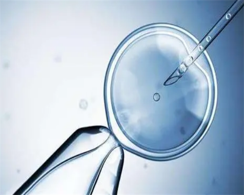 移植后食欲增加：移植后饭量大是不是好兆头~代怀助孕套餐