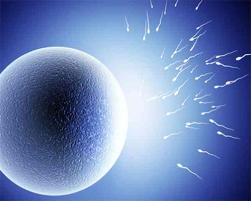 香港化验血快递邮流程,怀孕验血多少钱一次