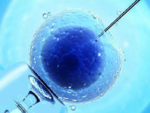 试管怀孕后卵巢发炎怎么办 试管怀孕后卵巢发炎怎么办呢~代怀子医院