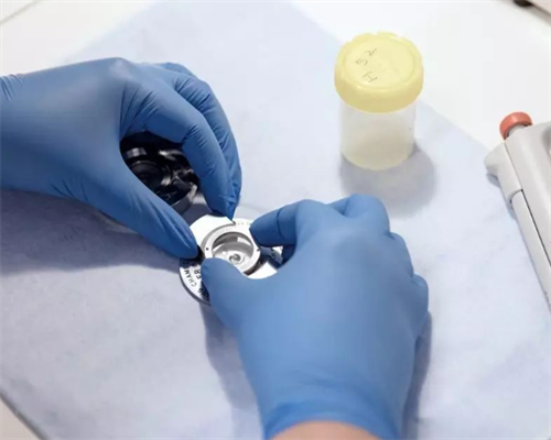 为什么孕妇不能吃枸杞,怀孕香港验血要七周