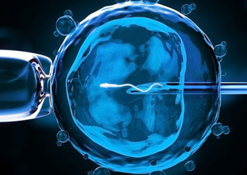 香港胎儿性别鉴定费用多少_(准确率高达99.9%),香港验血如何寄血