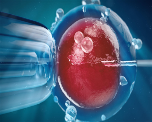 孕妇能不能吃藠头,香港验血客服电话