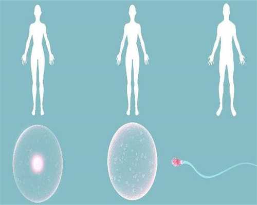 2026年复合型血脂异常去吉尔吉斯斯坦做三代试管生子的成功率高吗？