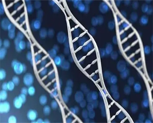 哪些遗传疾病能够通过泰国试管婴儿筛查?~助孕包生男孩