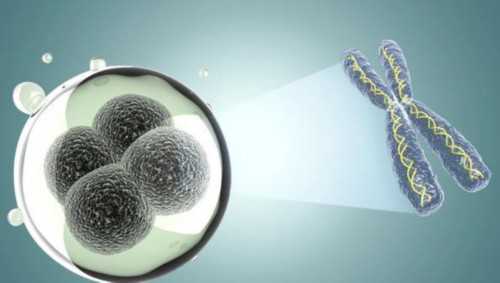 西安哪家代孕靠谱正规,西安能做试管婴儿的医院,西安唐都做试管大概多少钱