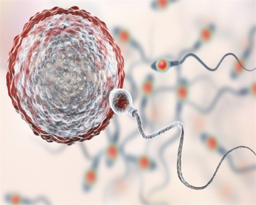 邮寄血样到香港查男女准吗,2026年要验血的姐妹,香港验血觉得不准还想再验一