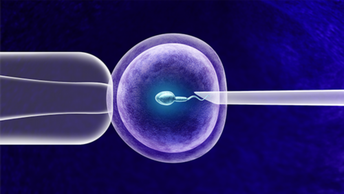 子宫异位症有哪些症状?子宫异位症对试管婴儿有影响吗?如何治疗和调节子宫内膜异位症?