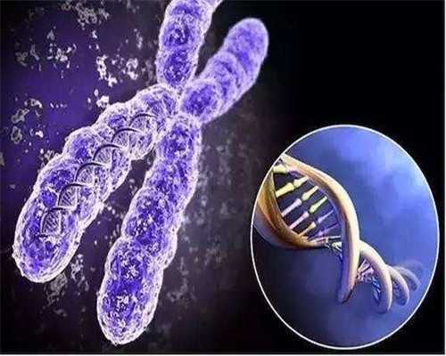 三代试管婴儿中，鲜胚、冷冻胚、囊胚这三种移植哪种较好？~正规代孕电话