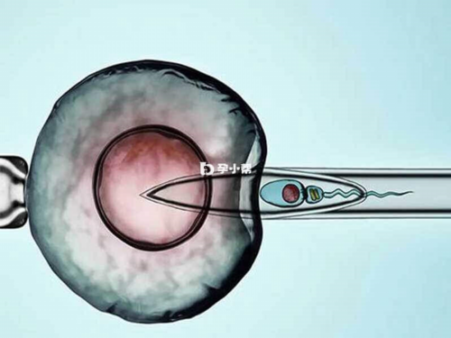 精准的DNA判定办法查验保证,香港验血多少周可以验出来