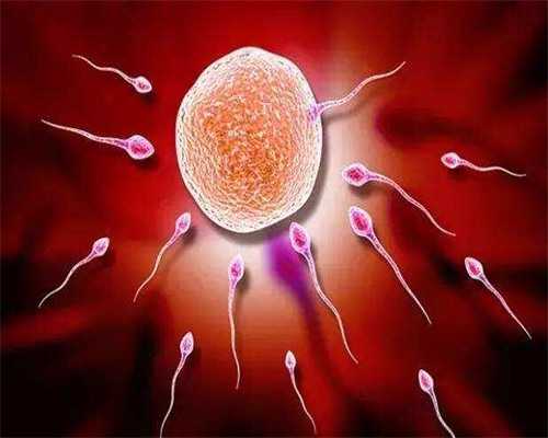 怀孕查血需要空腹吗,怀孕香港验血多少天