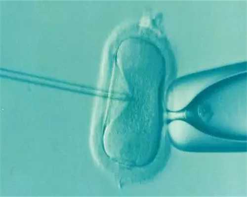 到泰国试管婴儿价格多少钱？~供卵代生正规