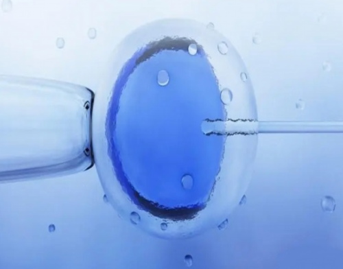 香港胎儿染色体检测_验血顾问在线全程为你答疑,怀孕二个月 香港验血