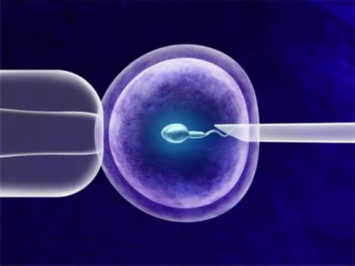 香港验血检测没有y,告诉你就是包准的验血检测,早孕香港验血多钱