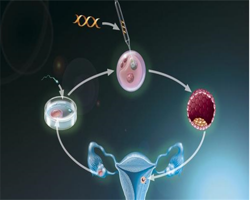 孕9 2香港验血,香港验血4000港币？分享一下本人亲身经历