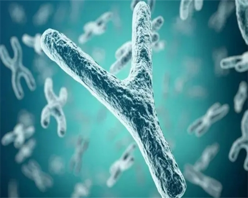 抽血验男女看什么指标,提前知道胎儿最安全放,香港验血寄血可靠吗