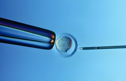 辽宁三代试管:吉林做三代试管婴儿的条件~失独求子