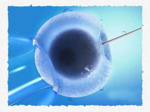 试管婴儿流程中胚胎移植