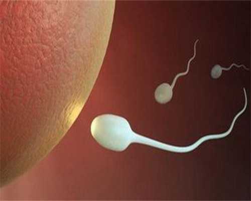 雌二醇2000对应几个成熟卵泡，能判断吗?~捐卵公司