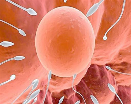 西安助孕机构-公司_国内正规试管助孕服务平台,香港验血怀孕3周可以吗