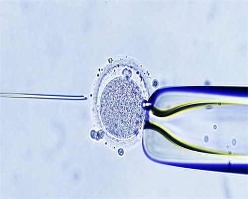 好心急知香港验血结果,娄底哪里能够验血看胎儿性别，孕妈知道这儿验的都准