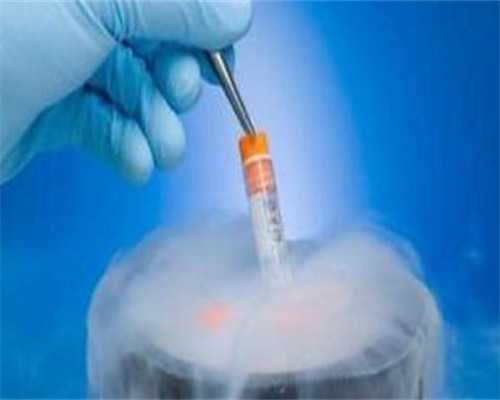 孕妇能不能吃狗肉,香港验血查男孩女孩多少天最准