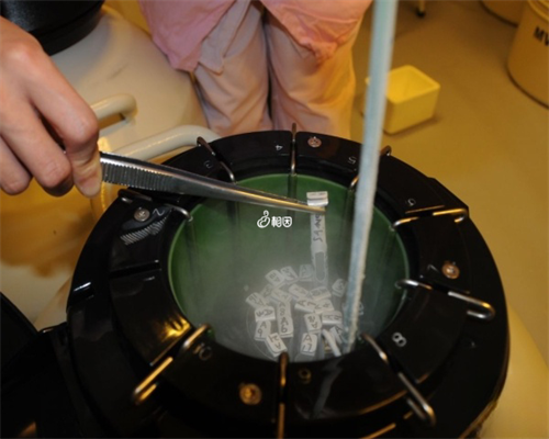 香港验血鉴定性别结果Y生了男孩,验血查胎儿性别中介_一共验了3次，全部准确