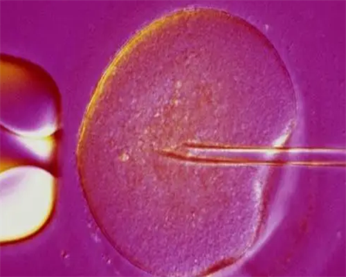 怀孕去香港验血什么时候有结果,我的孕6周香港抽血查男女实在阅历共享 多久可