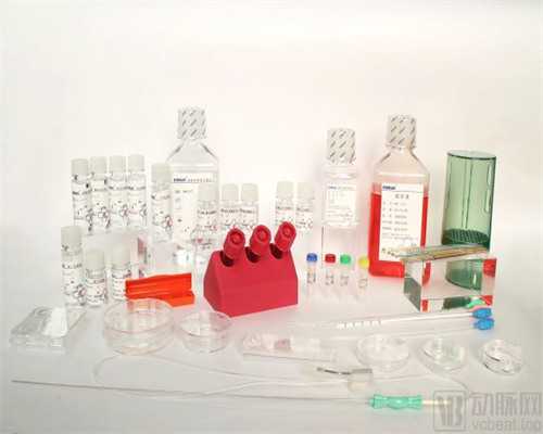 惠州中心医院试管婴儿成功率这些因素会影响到你