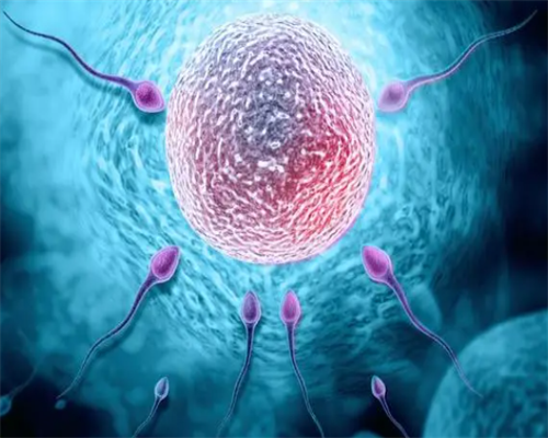 2026威海不孕不育医院大全？(山东试管婴儿)~助孕公司