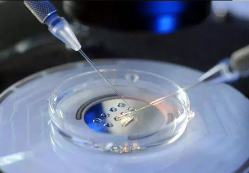 香港验血查宝宝男女真的准吗【香港验血须知】,香港验血全是女孩