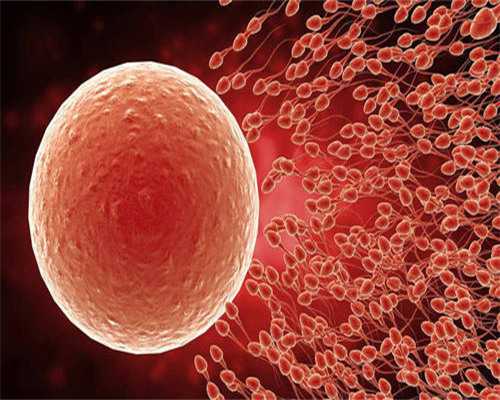 澳门的验血男女报告单,需求到达什么条件或者是要求,六周和七周香港验血有区