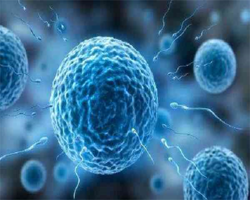 卵巢囊肿手术后多久可以进行试管移植？卵巢囊肿可以做IVF移植吗？