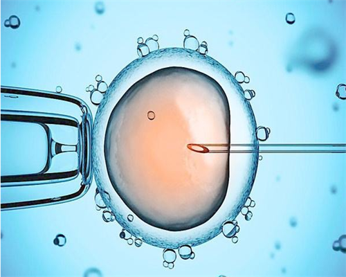西安早衰供卵成功,西安四院试管成功率,西安四院试管婴儿成功率高吗
