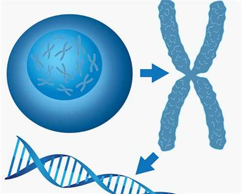 导致试管移植后腰酸的原因分析！移植后腰酸是移植失败的征兆吗