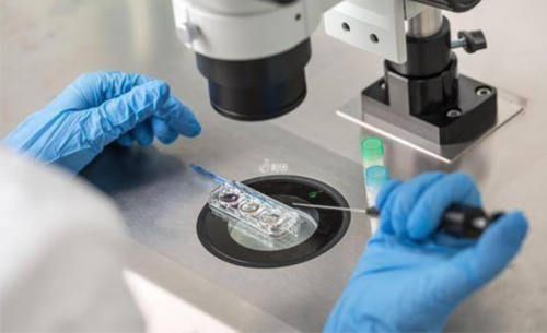 宫外孕会影响香港验血结果吗,