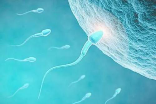 验血检测安排老品牌牢靠,寄到香港验血是真的吗