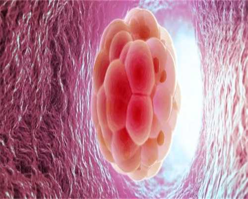 2026单身试管婴儿费用汇总，附单身试管费用省钱妙招~借卵助孕服务