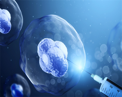 2026年泰国还能做供精试管吗？没有精子能去泰国做试管吗？~试管代怀助孕