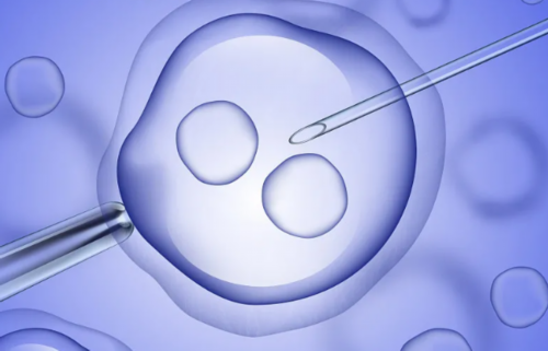 【香港时代医疗化验所】胎宝宝多大算正常范围,流产超过半年香港验血准吗