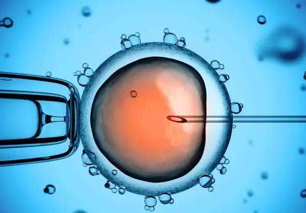 代孕的受精方式-内蒙有供卵代孕吗